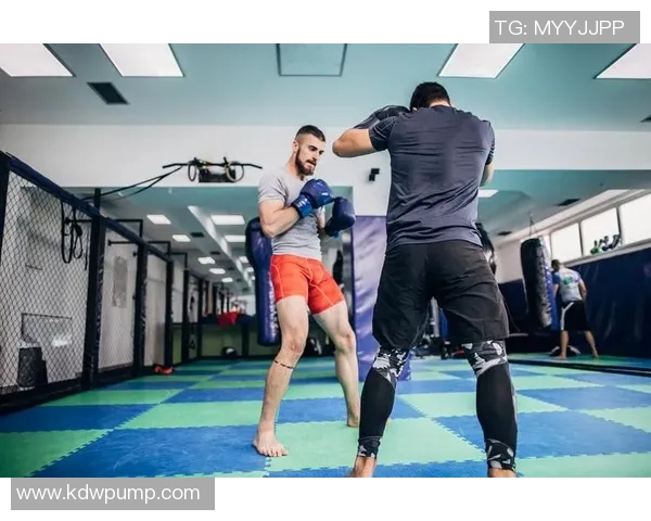 足球场上的拳击高手揭秘会打拳的足球明星们的双重技能与魅力 足球场上的拳击高手揭秘会打拳的足球明星们的双重技能与魅力