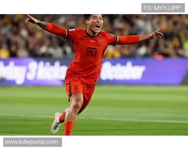 中国足球曾经的辉煌与没落明星盘点及其背后的故事分析